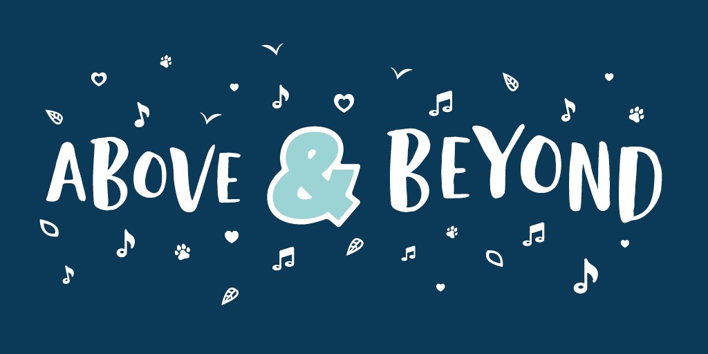 Above and Beyond words 