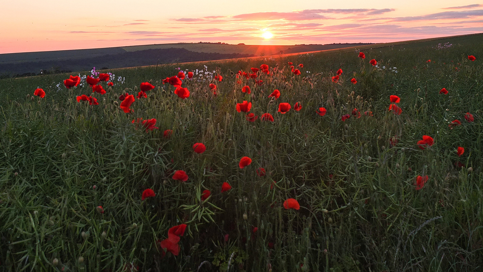ditchling beacon
