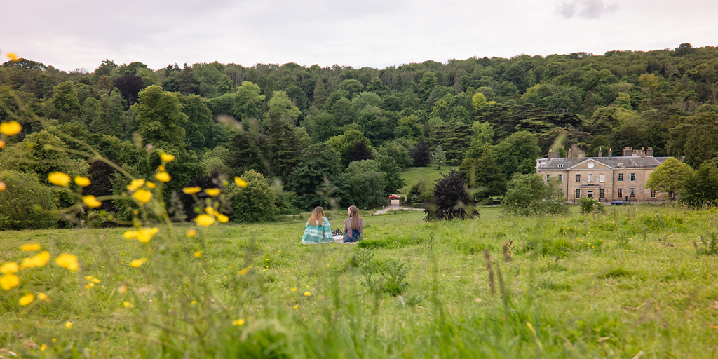 people sitting down in stanmer park