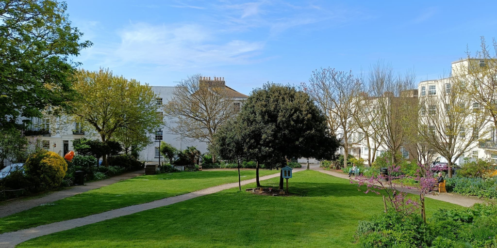 Image of green community garden space