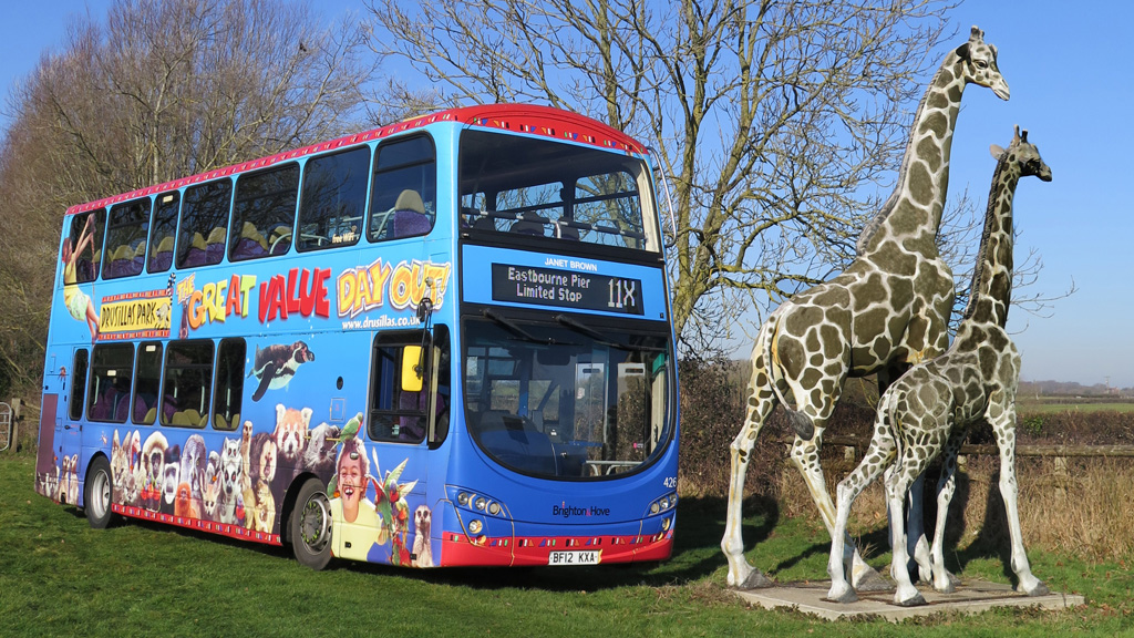 New bus services and bus routes for summer 2019 - Brighton & Hove Buses