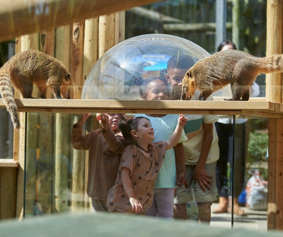 An image of Drusilla's Park